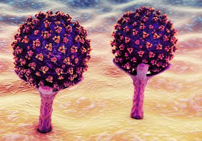 Characterizing Proteolysis During SARS-CoV-2 Infection